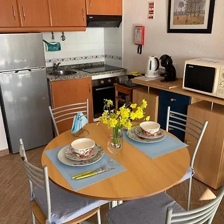 505 * São Martinho do Porto